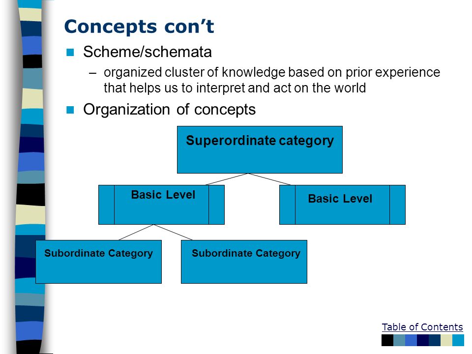 Table of Contents Concepts con’t Scheme/schemata –organized cluster of knowledge based on prior experience that helps us to interpret and act on the world Organization of concepts Superordinate category Basic Level Subordinate Category