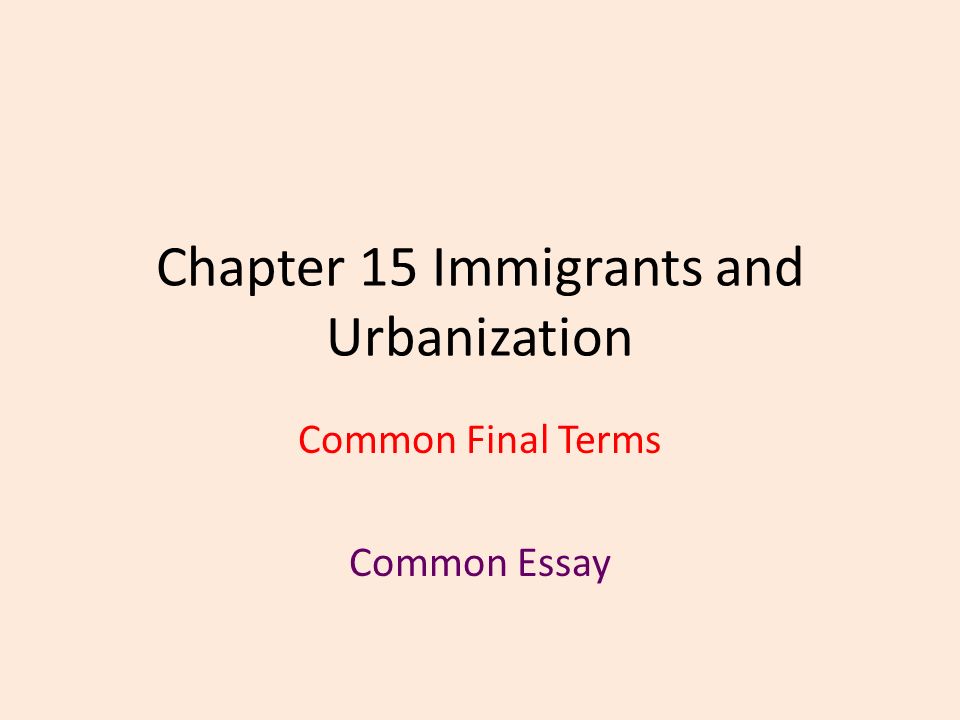 Sample Argumentative Essay High School Chapter Immigrants And Urbanization Common Final Terms Common Essay Essay On High School also Into The Wild Essay Thesis Chapter Immigrants And Urbanization Common Final Terms Common Narrative Essay Examples For High School