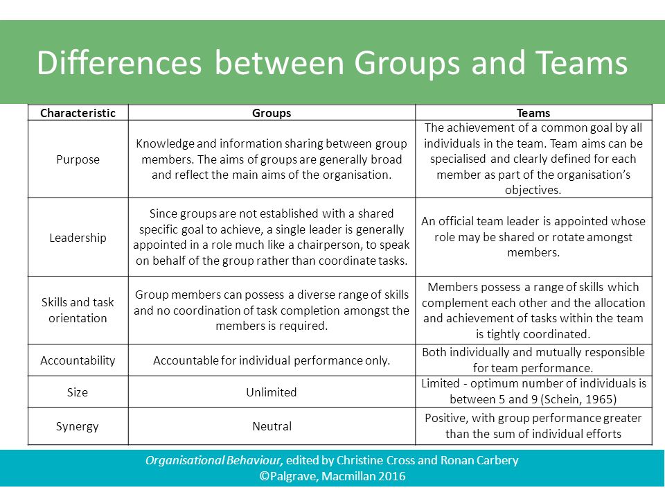 group process in organisational behaviour group properties in organisational behaviour