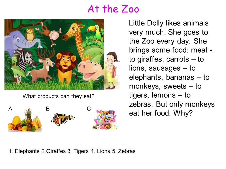 She like animals. At the Zoo задания. Презентация по английскому языку "забавные животные"(3 класс). At the Zoo стих. At the Zoo 5 класс.