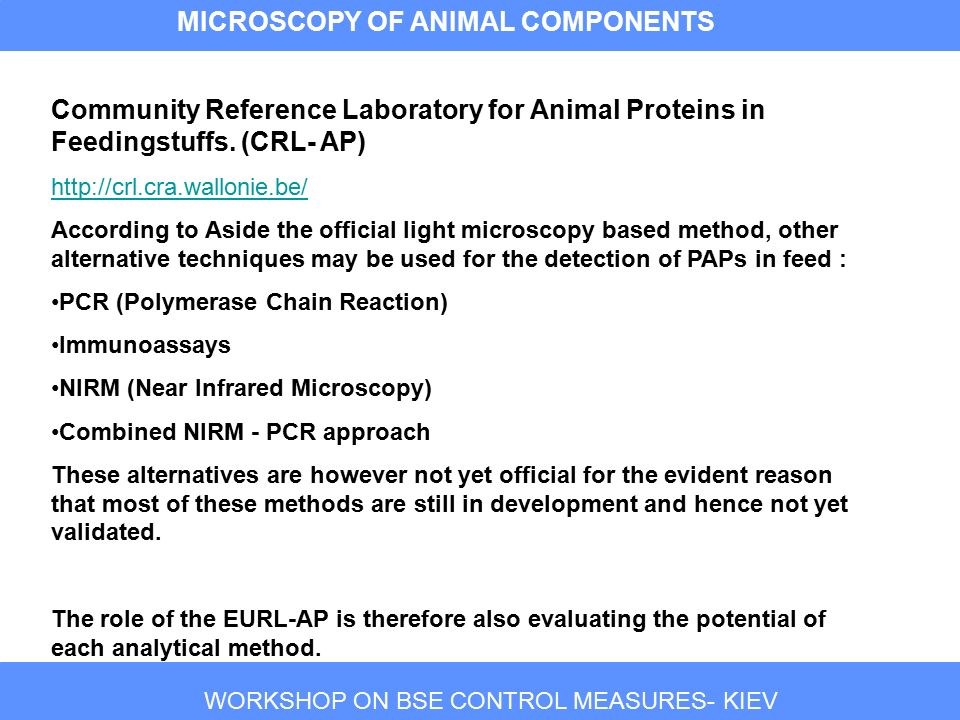 WORKSHOP ON BSE CONTROL MEASURES- KIEV MICROSCOPY OF ANIMAL COMPONENTS Community Reference Laboratory for Animal Proteins in Feedingstuffs.