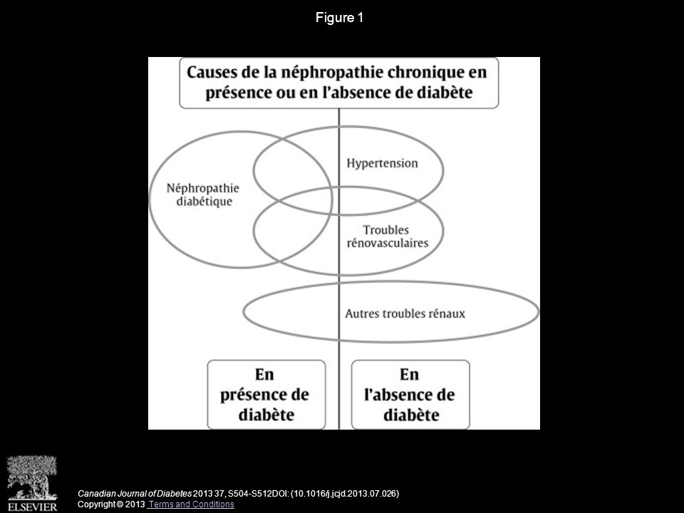 Figure 1 Canadian Journal of Diabetes , S504-S512DOI: ( /j.jcjd ) Copyright © 2013 Terms and Conditions Terms and Conditions
