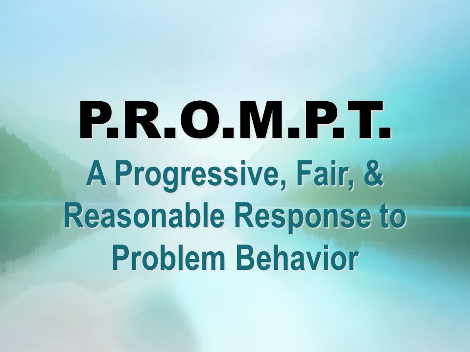 P.R.O.M.P.T. A Progressive, Fair, & Reasonable Response to Problem Behavior