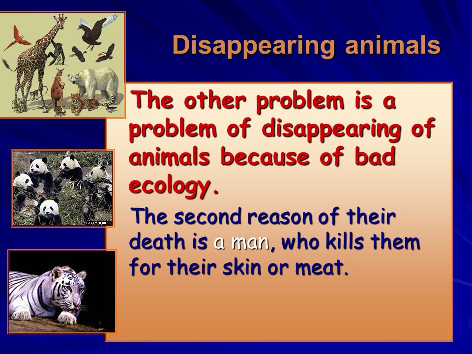 Disappearing animals. Animals презентация. Проект endangered animals. Проект на тему endangered animals and Plants.