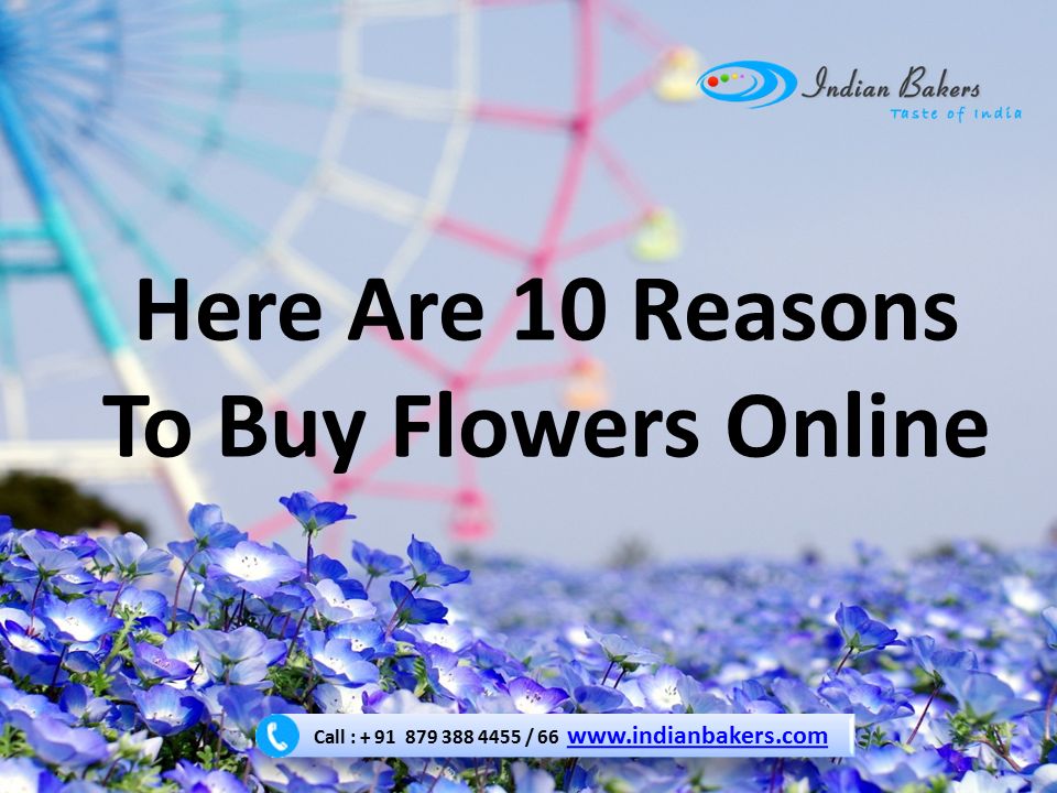 Here Are 10 Reasons To Buy Flowers Online Call : / Call : /