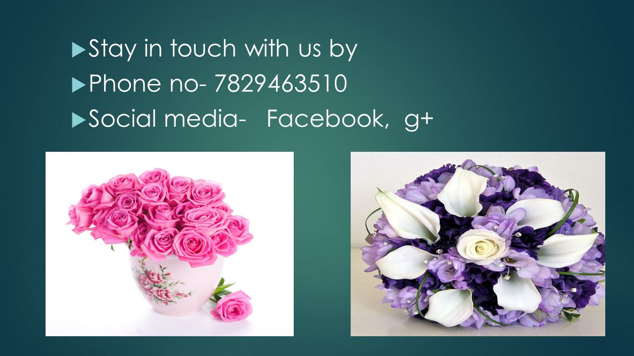  Stay in touch with us by  Phone no  Social media- Facebook, g+