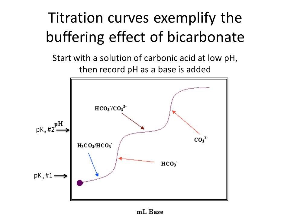 Titration curves exemplify the buffering effect of bicarbonate Start with a solution of carbonic acid at low pH, then record pH as a base is added pK a #1 pK a #2