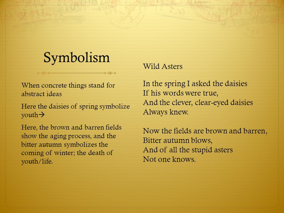 wild daisies poem