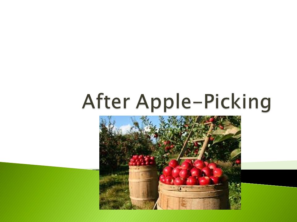 Consider The Symbolism Of Apples Both In Every Day Life And In Consider The Symbolism Of Apples Both In Every Day Life And In Literature