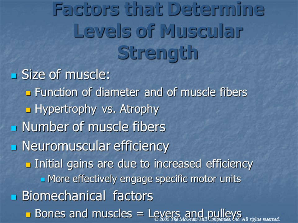 Factors that Determine Levels of Muscular Strength Size of muscle: Size of muscle: Function of diameter and of muscle fibers Function of diameter and of muscle fibers Hypertrophy vs.