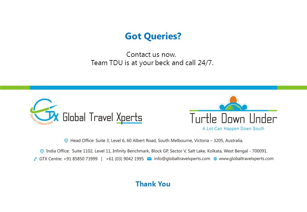 Got Queries Contact us now. Team TDU is at your beck and call 24/7. Thank You
