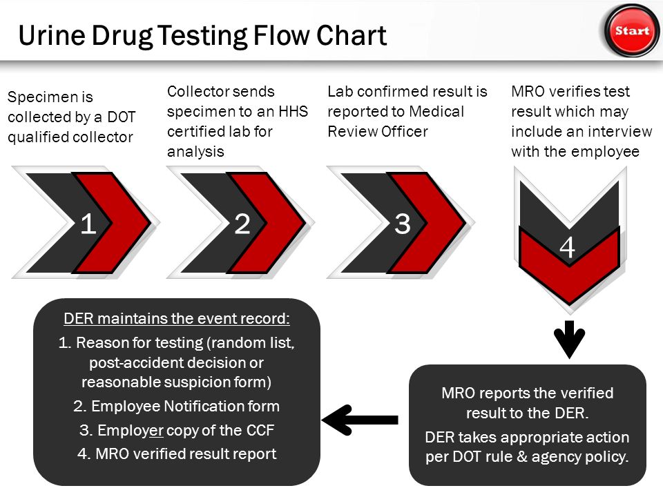 Post Accident Drug Testing Flow Chart