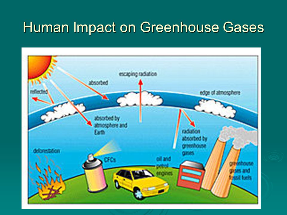 Environmental Concerns. Human Impact on Greenhouse Gases. - ppt download