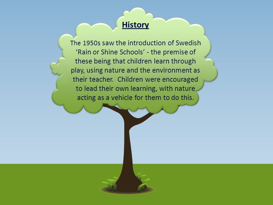 history of forest school