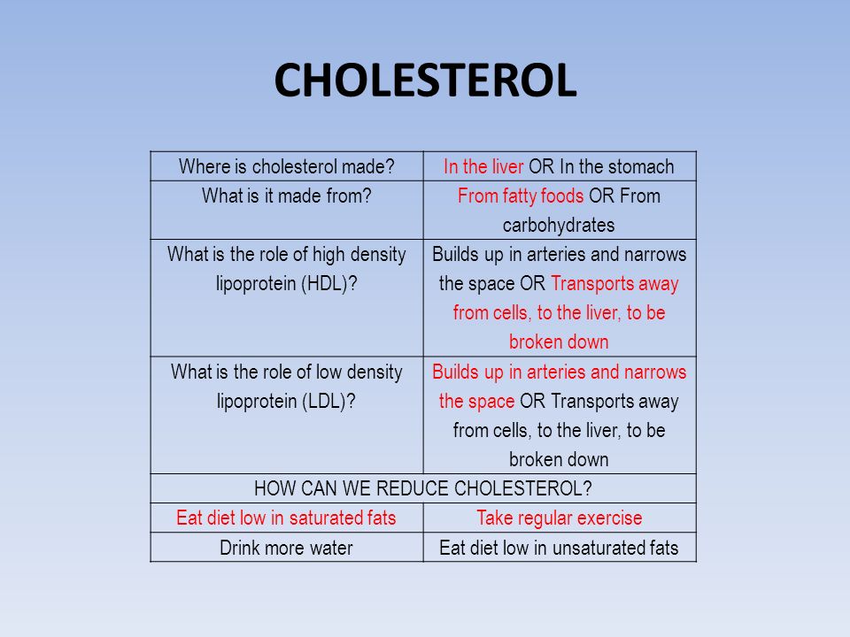 what is cholesterol made up of