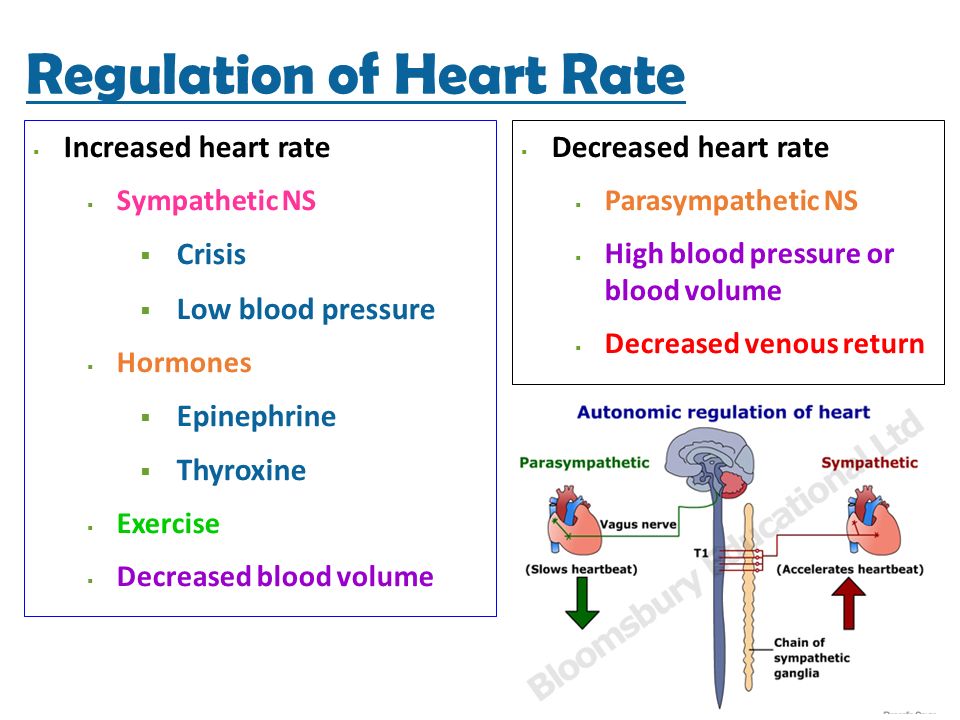 low heart rate high blood pressure