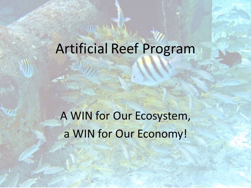 Artificial Reef Program A WIN for Our Ecosystem, a WIN for Our Economy!