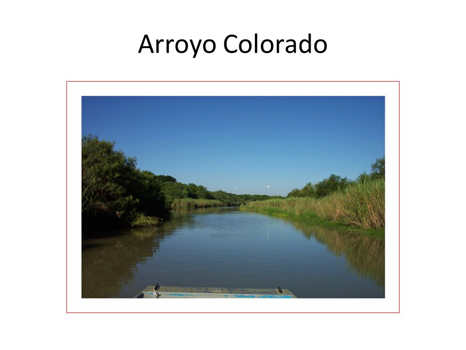 Arroyo Colorado