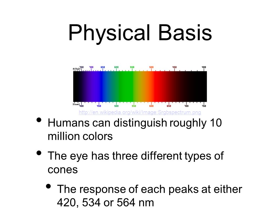 Physical Basis Humans can distinguish roughly 10 million colors The eye has three different types of cones The response of each peaks at either 420, 534 or 564 nm