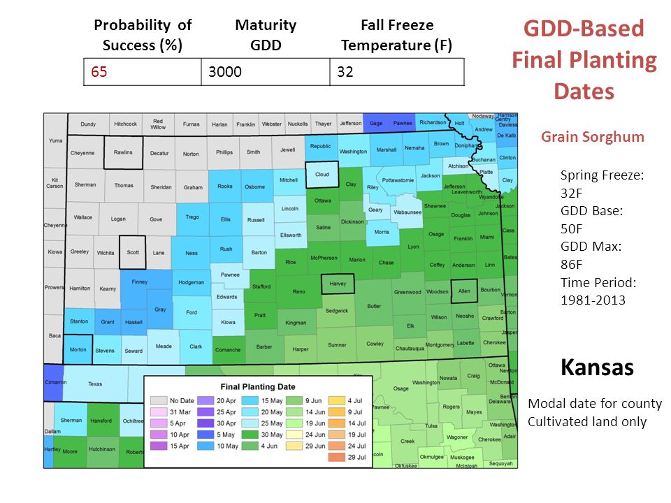 Spring Freeze: 32F GDD Base: 50F GDD Max: 86F Time Period: Probability of Success (%) Maturity GDD Fall Freeze Temperature (F) GDD-Based Final Planting Dates Kansas Modal date for county Cultivated land only Grain Sorghum