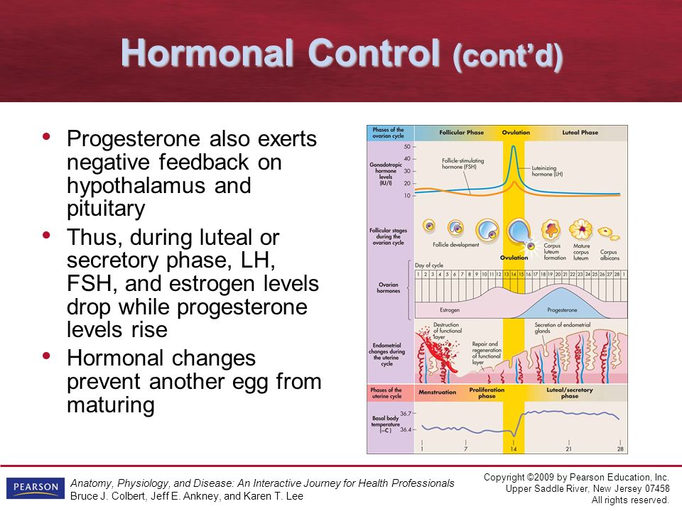 Anatomy Physiology And Disease An Interactive Journey For Health Professionals Copyright ©2009 3149