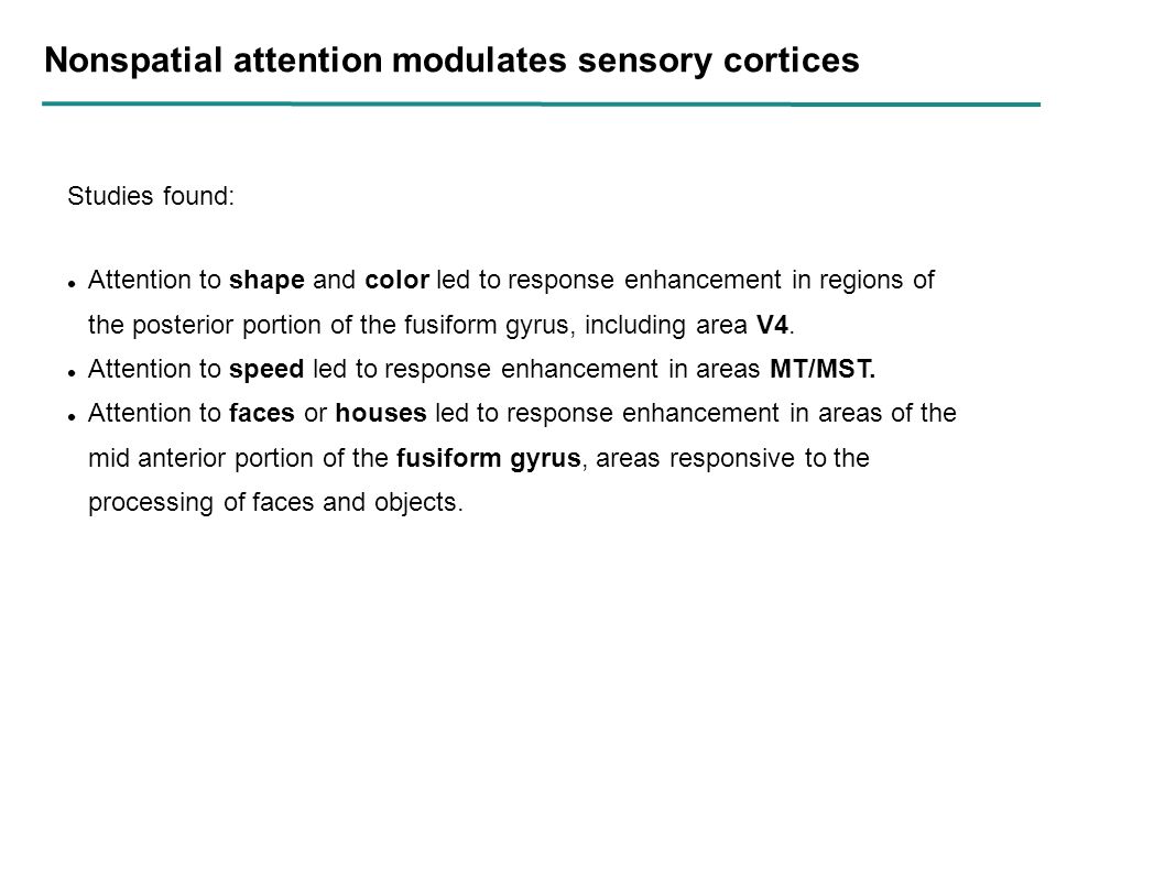 Nonspatial attention modulates sensory cortices Studies found: Attention to shape and color led to response enhancement in regions of the posterior portion of the fusiform gyrus, including area V4.