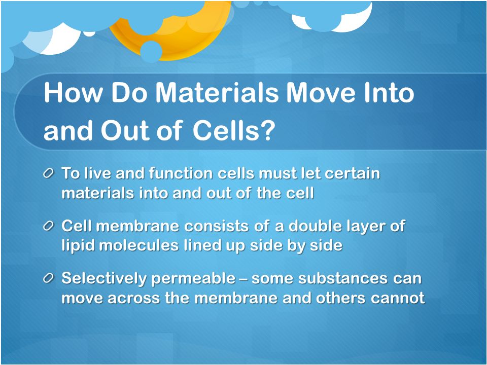 The Cell in Its Environment How do Materials Move Into and Out of 