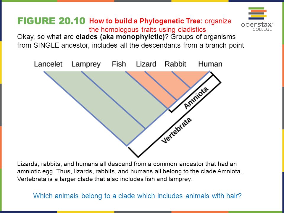 https://images.slideplayer.com/35/10410539/slides/slide_11.jpg