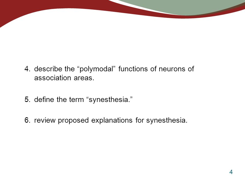 4 6. review proposed explanations for synesthesia.