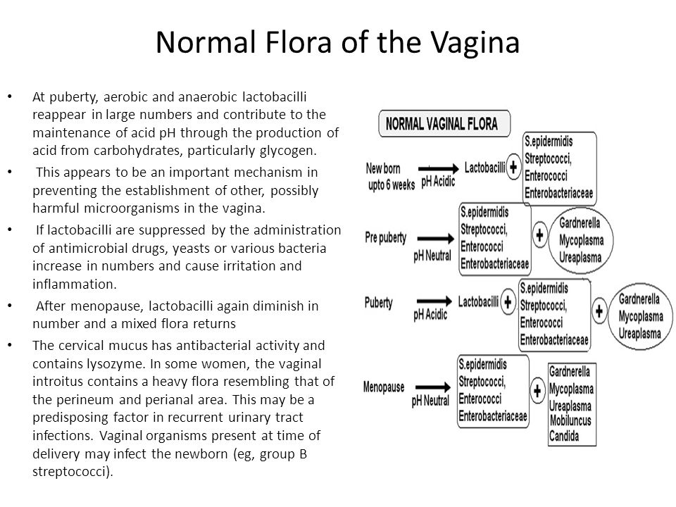 normal vagina flora Retro fuck films