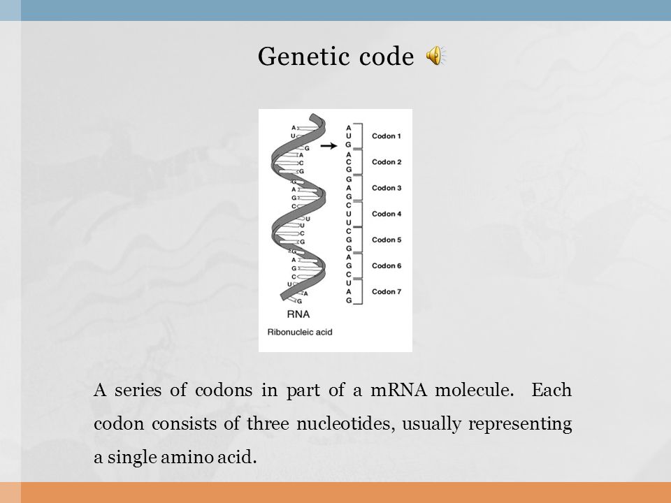 Genetic code - Wikipedia