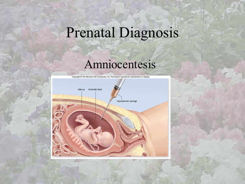 I. Heredity & Genetics parent to offspring oThe passing of traits from ...