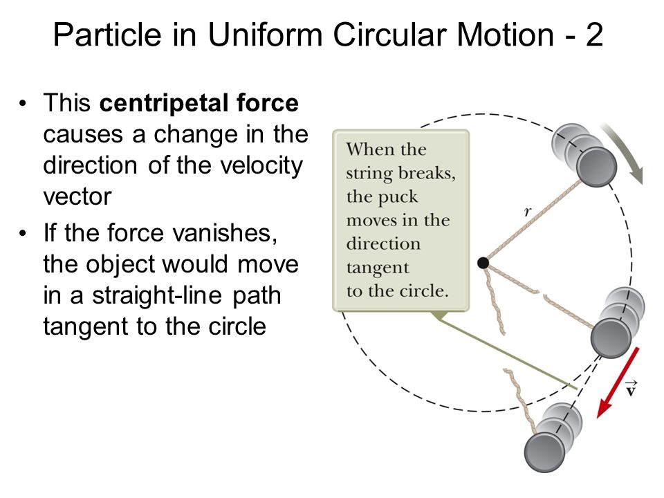 Particle in Uniform Circular Motion - 2 This centripetal force causes a change in the direction of the velocity vector If the force vanishes, the object would move in a straight-line path tangent to the circle