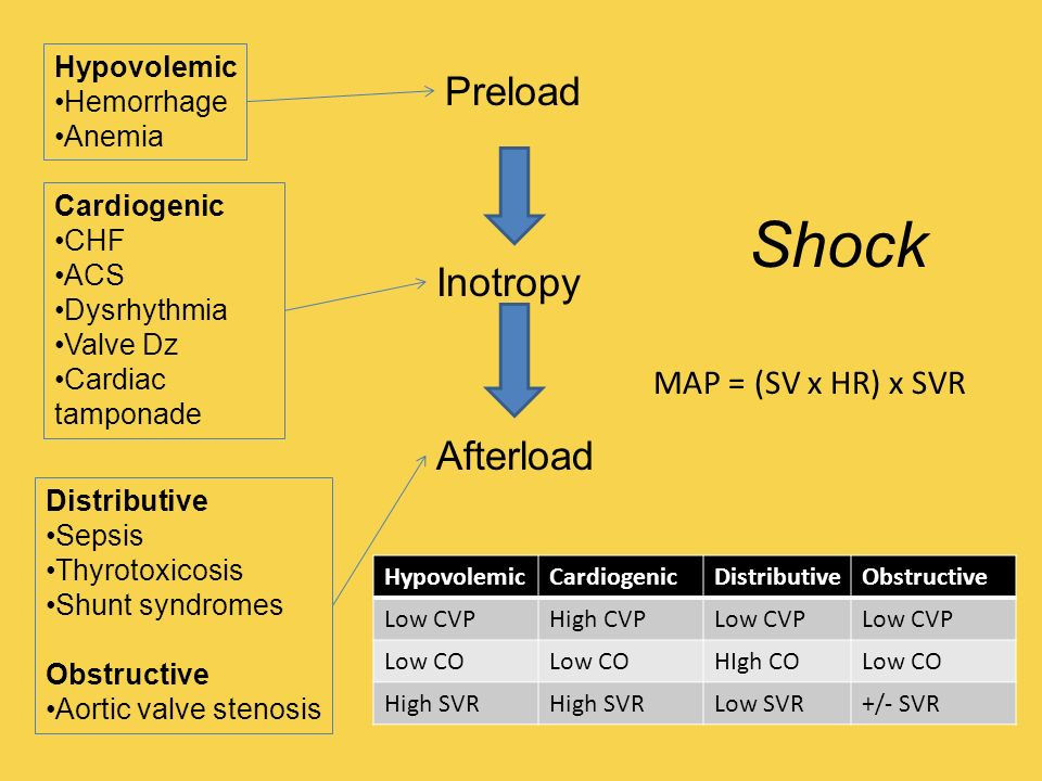 Physiology Cardiodynamics And Shock Bill Cayley Md Mdiv University Of Wisconsin Ppt Download