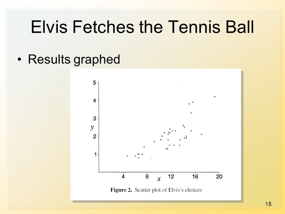 15 Elvis Fetches the Tennis Ball Results graphed