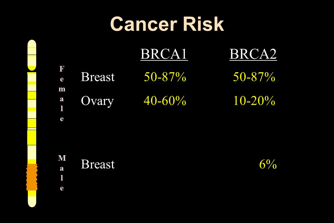 Cancer Risk Breast 50-87% 50-87% Ovary 40-60% 10-20% Breast 6% FemaleMaleFemaleMale BRCA1BRCA2