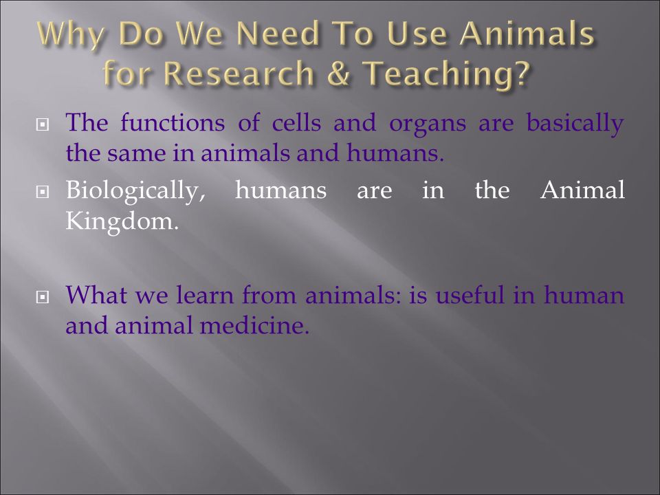 DR. MOHD NAZAM ANSARI  Why do we need to use animals for research and  teaching?  What have people learned from animal research? - ppt download