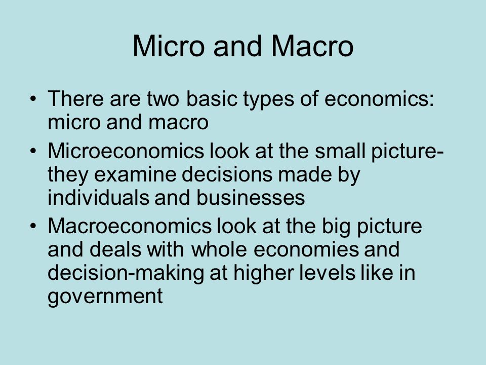 macroeconomics looks at the whole economy