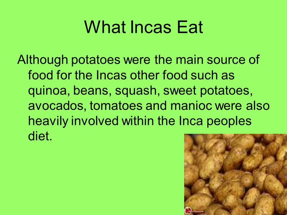 incas food and farming