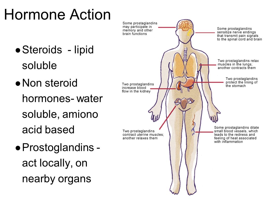 Dutch Cycle With Sex Hormone Metabolism Regenerus Labs