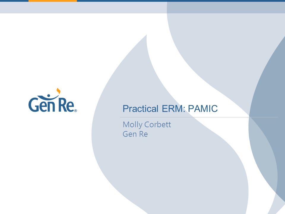 Proprietary and Confidential | © General Reinsurance Corporation Practical ERM: PAMIC Molly Corbett Gen Re