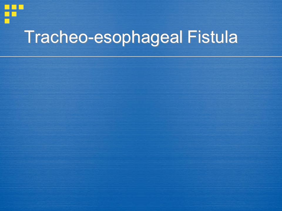 Tracheo-esophageal Fistula
