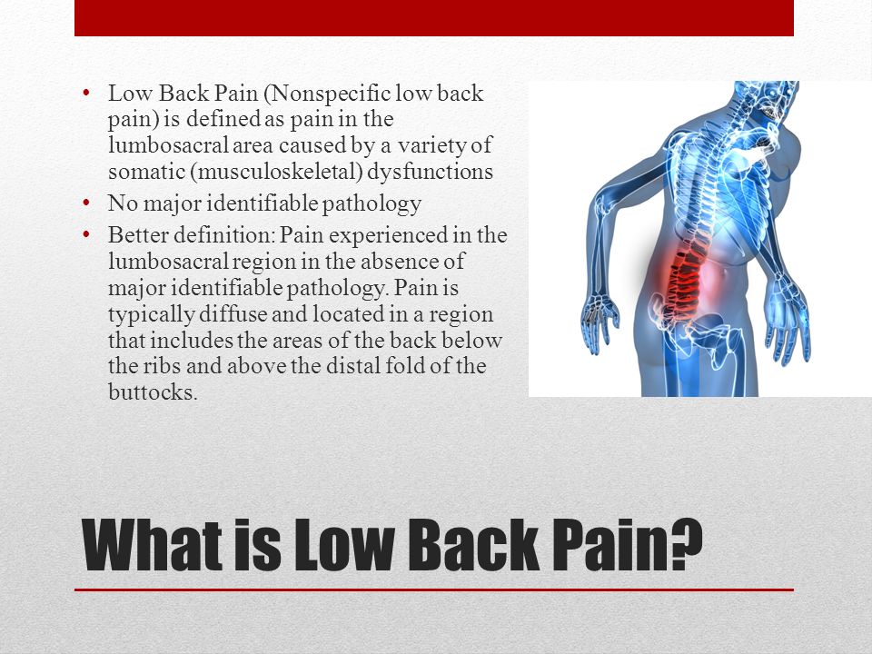 Low Back Pain By Brandon Hodes Exs 486 What Is Low Back Pain Low Back Pain Nonspecific Low Back Pain Is Defined As Pain In The Lumbosacral Area Caused Ppt Download