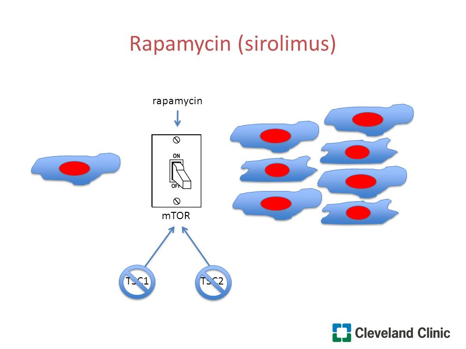Rapamycin (sirolimus) mTOR TSC1TSC2 rapamycin