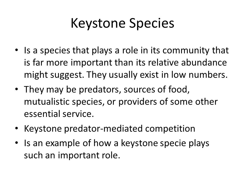 Chapter 6 Population and Community Ecology. Nature exists at several