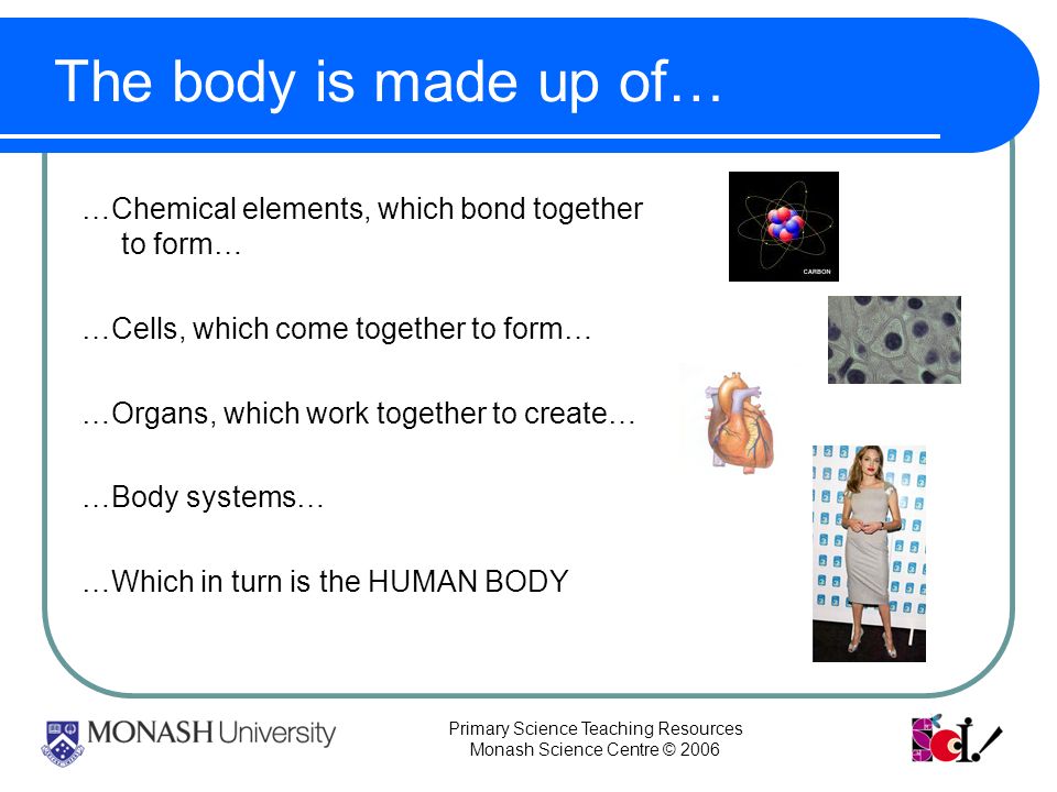 Primary Science Teaching Resources Monash Science Centre © 2006 The body is made up of… …Chemical elements, which bond together to form… …Cells, which come together to form… …Organs, which work together to create… …Body systems… …Which in turn is the HUMAN BODY