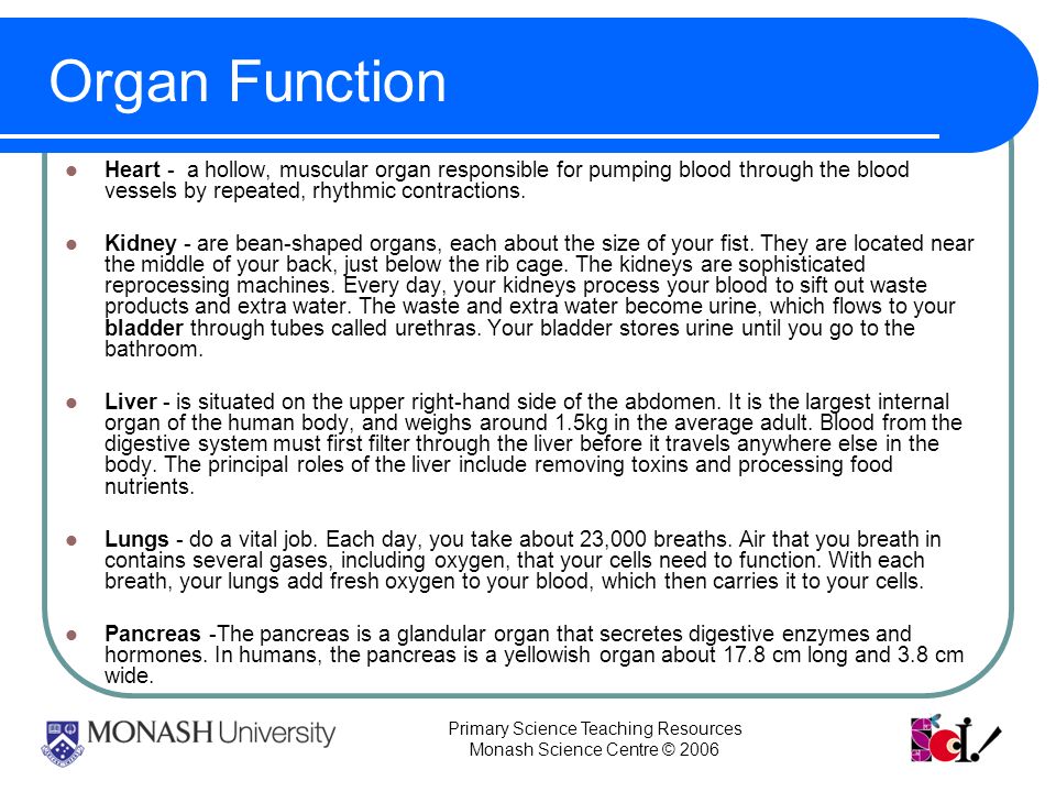 Primary Science Teaching Resources Monash Science Centre © 2006 Organ Function Heart - a hollow, muscular organ responsible for pumping blood through the blood vessels by repeated, rhythmic contractions.