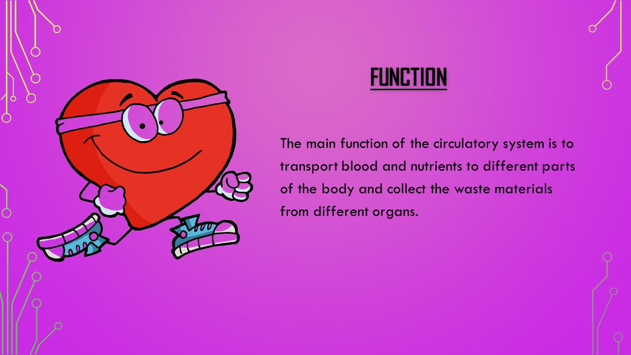 The heart pumps blood to different parts of our body. The blood is