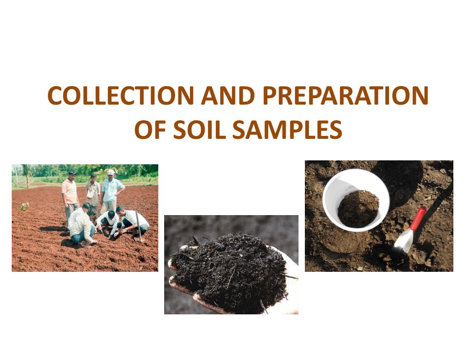 preparation of soil sample Soil sampling and testing.