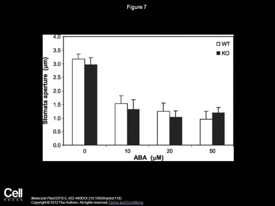 Figure 7 Molecular Plant , DOI: ( /mp/ssr118) Copyright © 2012 The Authors.